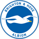 Brighton & Hove Albion - logo