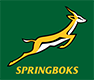 Springboks - logo